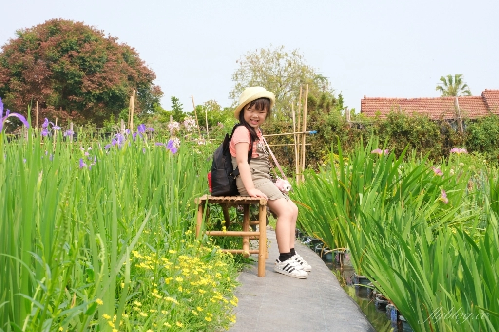 彰化田尾|田尾旅人小屋舒宿,彰化田尾鳶尾花季,浪漫唯美的鳶尾花秘境 @飛天璇的口袋 彰化田尾|田尾旅人小屋舒宿,彰化田尾鳶尾花季,浪漫唯美的鳶尾花秘境 @飛天璇的口袋