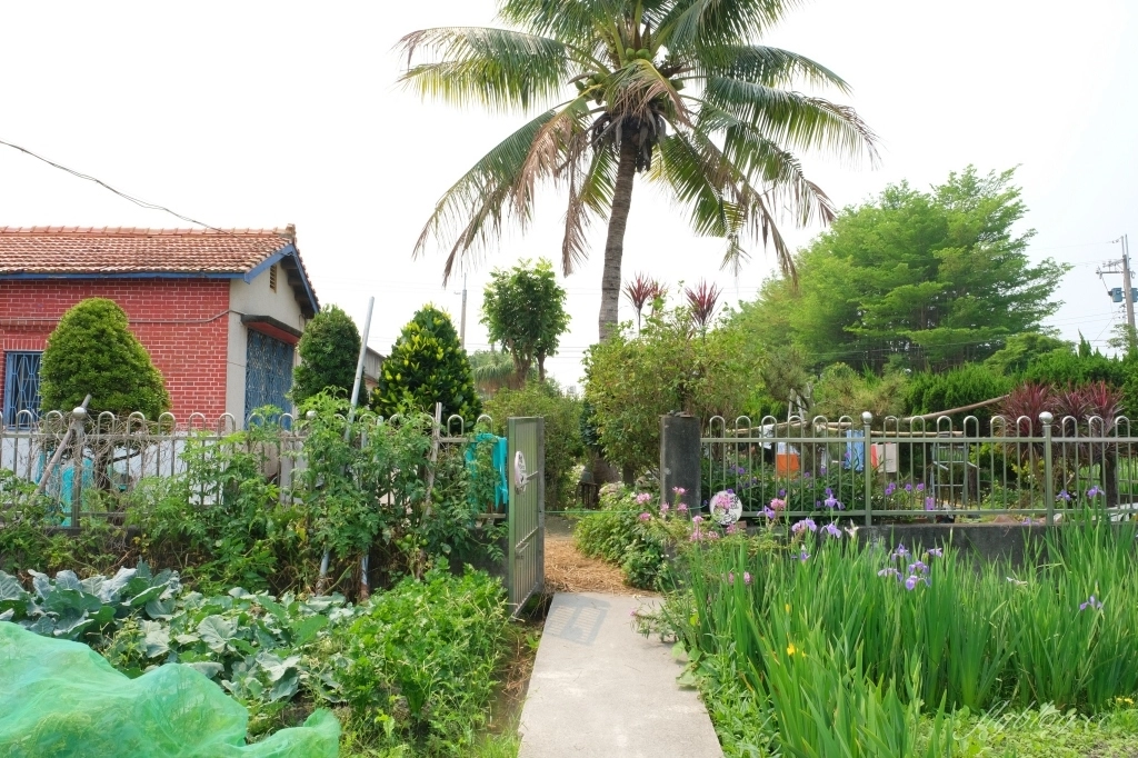 彰化田尾|田尾旅人小屋舒宿,彰化田尾鳶尾花季,浪漫唯美的鳶尾花秘境 @飛天璇的口袋 彰化田尾|田尾旅人小屋舒宿,彰化田尾鳶尾花季,浪漫唯美的鳶尾花秘境 @飛天璇的口袋
