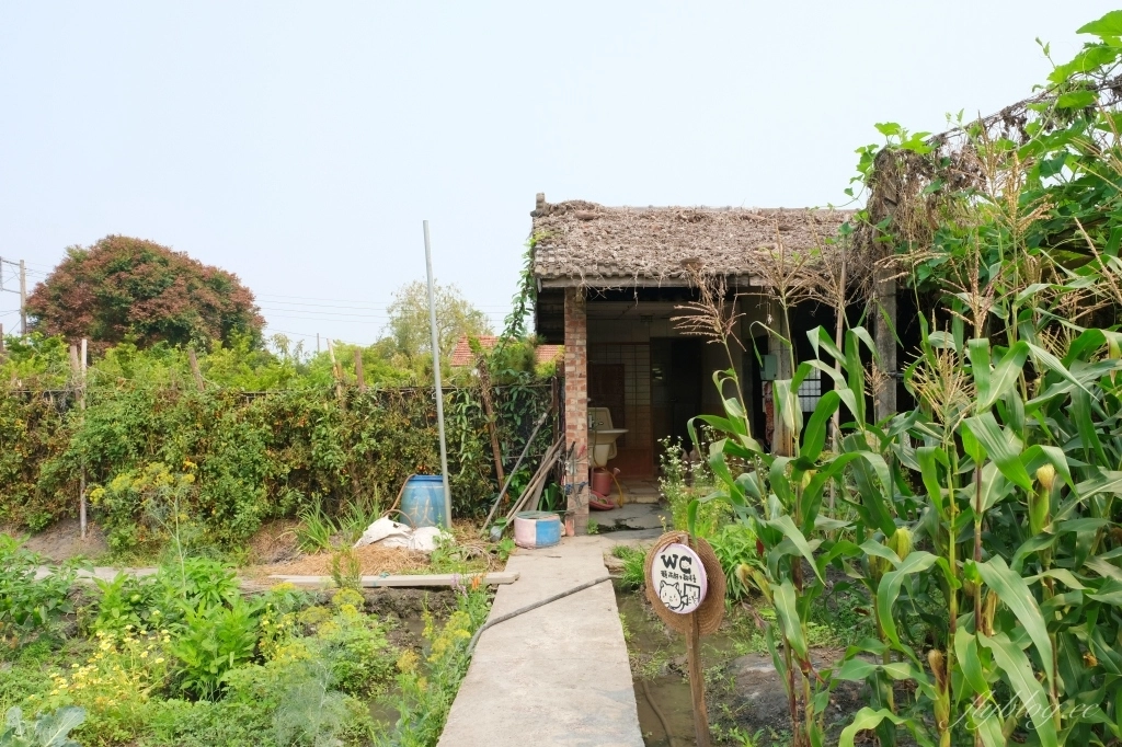 彰化田尾|田尾旅人小屋舒宿,彰化田尾鳶尾花季,浪漫唯美的鳶尾花秘境 @飛天璇的口袋 彰化田尾|田尾旅人小屋舒宿,彰化田尾鳶尾花季,浪漫唯美的鳶尾花秘境 @飛天璇的口袋