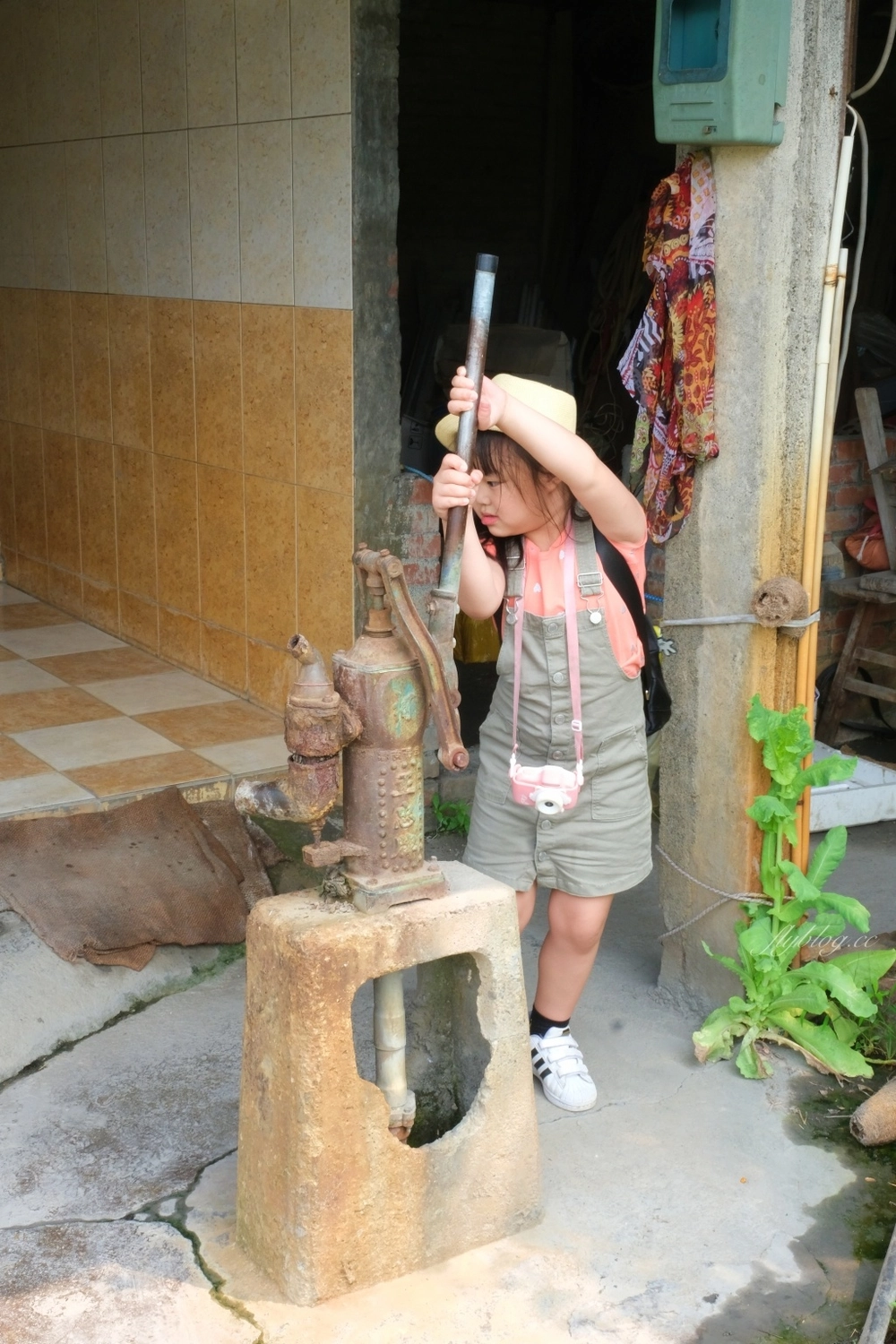 彰化田尾|田尾旅人小屋舒宿,彰化田尾鳶尾花季,浪漫唯美的鳶尾花秘境 @飛天璇的口袋 彰化田尾|田尾旅人小屋舒宿,彰化田尾鳶尾花季,浪漫唯美的鳶尾花秘境 @飛天璇的口袋
