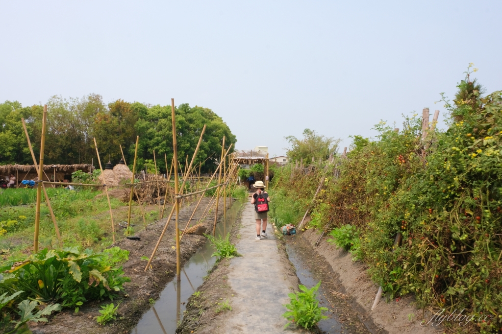 彰化田尾|田尾旅人小屋舒宿,彰化田尾鳶尾花季,浪漫唯美的鳶尾花秘境 @飛天璇的口袋 彰化田尾|田尾旅人小屋舒宿,彰化田尾鳶尾花季,浪漫唯美的鳶尾花秘境 @飛天璇的口袋