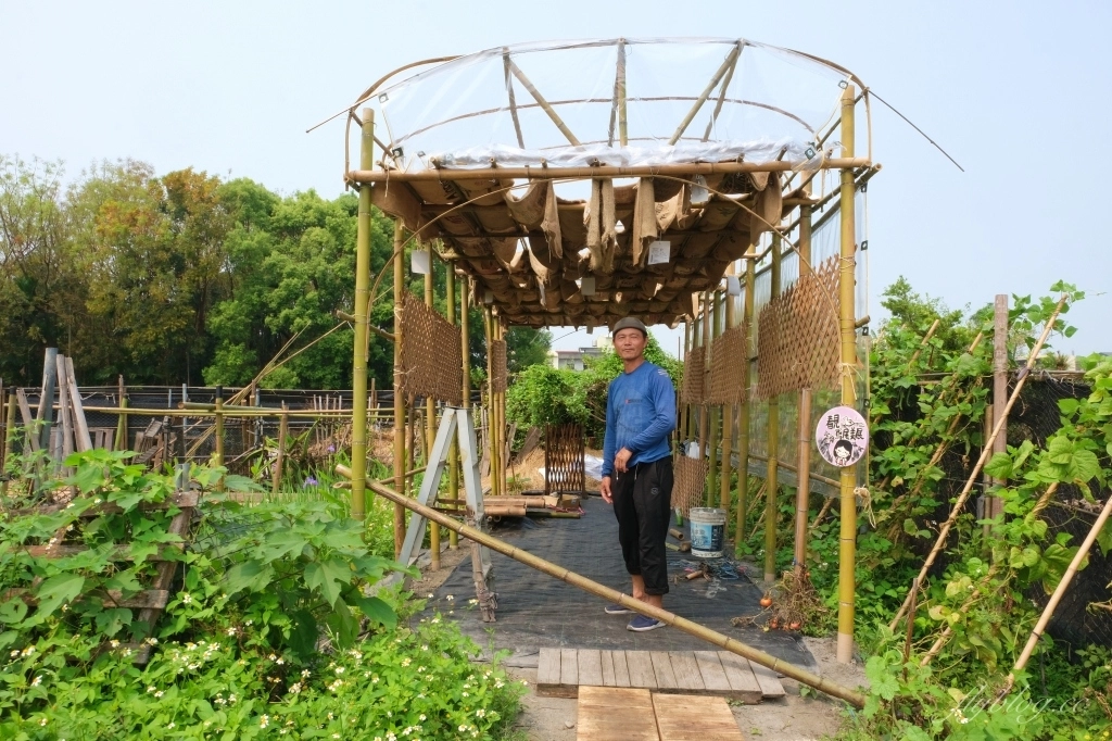 彰化田尾|田尾旅人小屋舒宿,彰化田尾鳶尾花季,浪漫唯美的鳶尾花秘境 @飛天璇的口袋 彰化田尾|田尾旅人小屋舒宿,彰化田尾鳶尾花季,浪漫唯美的鳶尾花秘境 @飛天璇的口袋