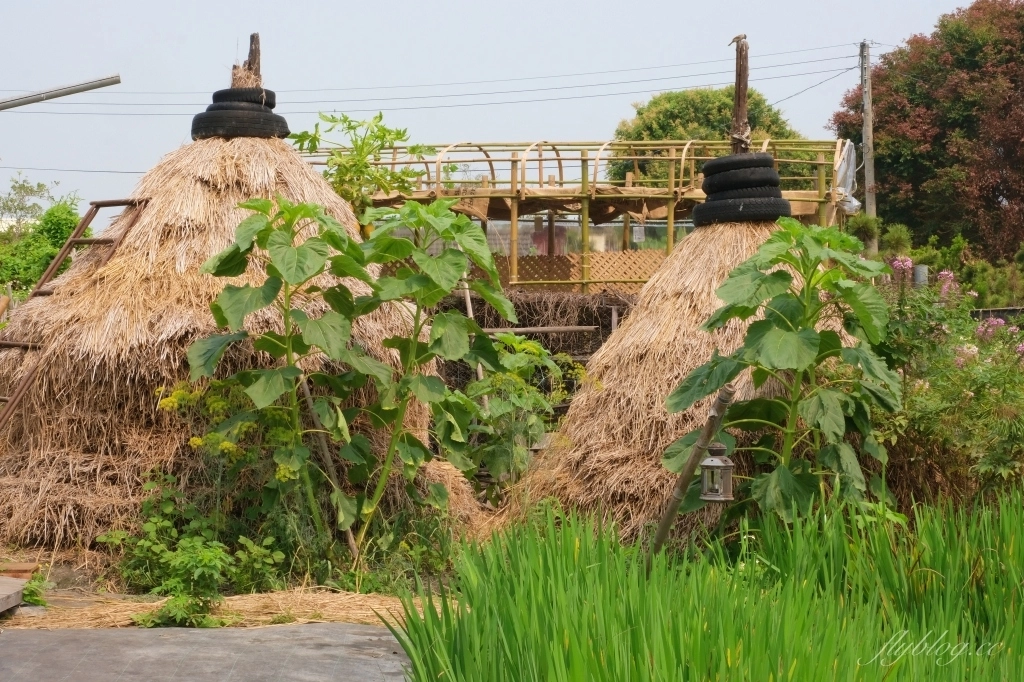 彰化田尾|田尾旅人小屋舒宿,彰化田尾鳶尾花季,浪漫唯美的鳶尾花秘境 @飛天璇的口袋 彰化田尾|田尾旅人小屋舒宿,彰化田尾鳶尾花季,浪漫唯美的鳶尾花秘境 @飛天璇的口袋