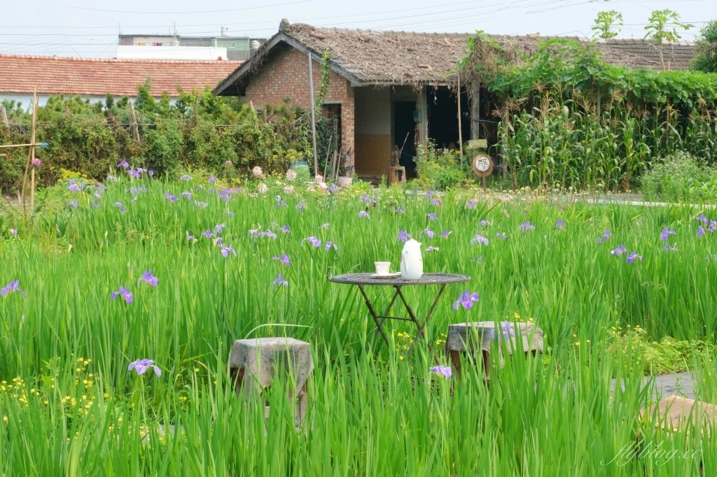 彰化田尾|田尾旅人小屋舒宿,彰化田尾鳶尾花季,浪漫唯美的鳶尾花秘境 @飛天璇的口袋 彰化田尾|田尾旅人小屋舒宿,彰化田尾鳶尾花季,浪漫唯美的鳶尾花秘境 @飛天璇的口袋