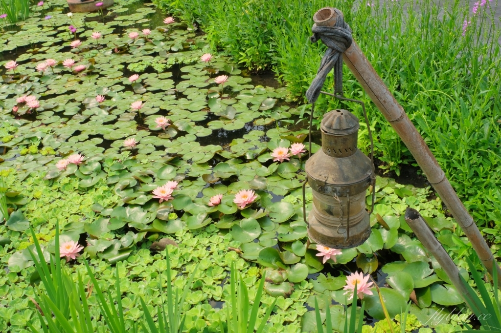 彰化田尾|田尾旅人小屋舒宿,彰化田尾鳶尾花季,浪漫唯美的鳶尾花秘境 @飛天璇的口袋 彰化田尾|田尾旅人小屋舒宿,彰化田尾鳶尾花季,浪漫唯美的鳶尾花秘境 @飛天璇的口袋