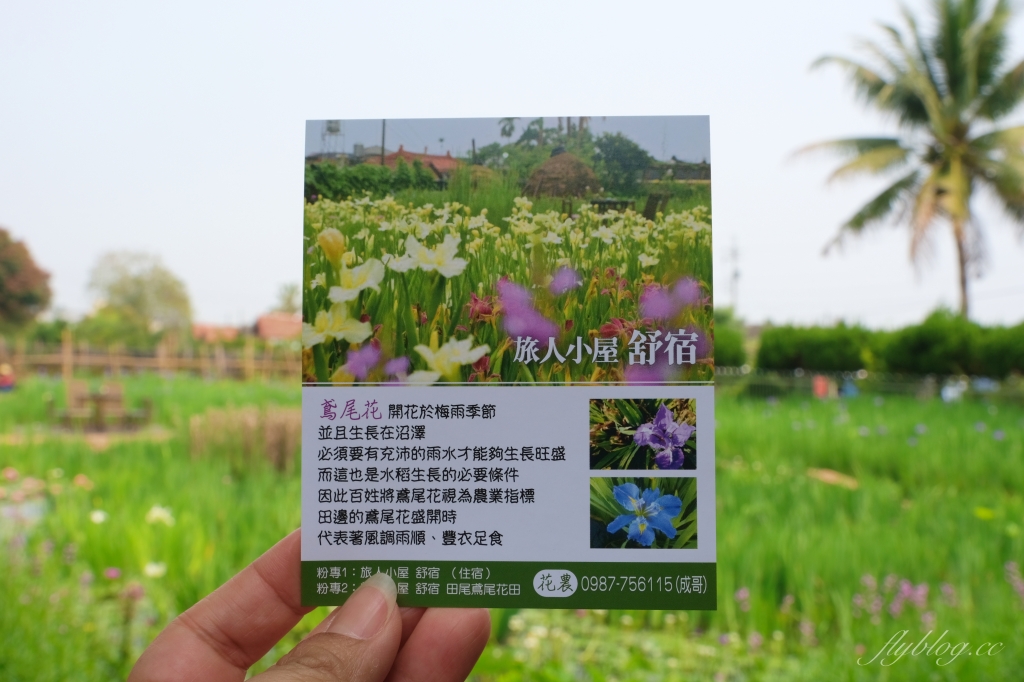 彰化田尾|田尾旅人小屋舒宿,彰化田尾鳶尾花季,浪漫唯美的鳶尾花秘境 @飛天璇的口袋 彰化田尾|田尾旅人小屋舒宿,彰化田尾鳶尾花季,浪漫唯美的鳶尾花秘境 @飛天璇的口袋