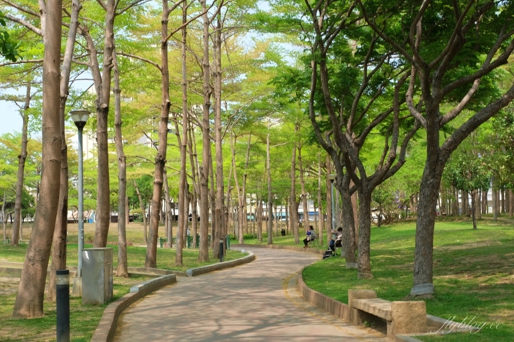 台中北屯舊社公園｜搭乘台中捷運松竹站下車即到，綠意盎然充滿綠意的生態公園 @飛天璇的口袋