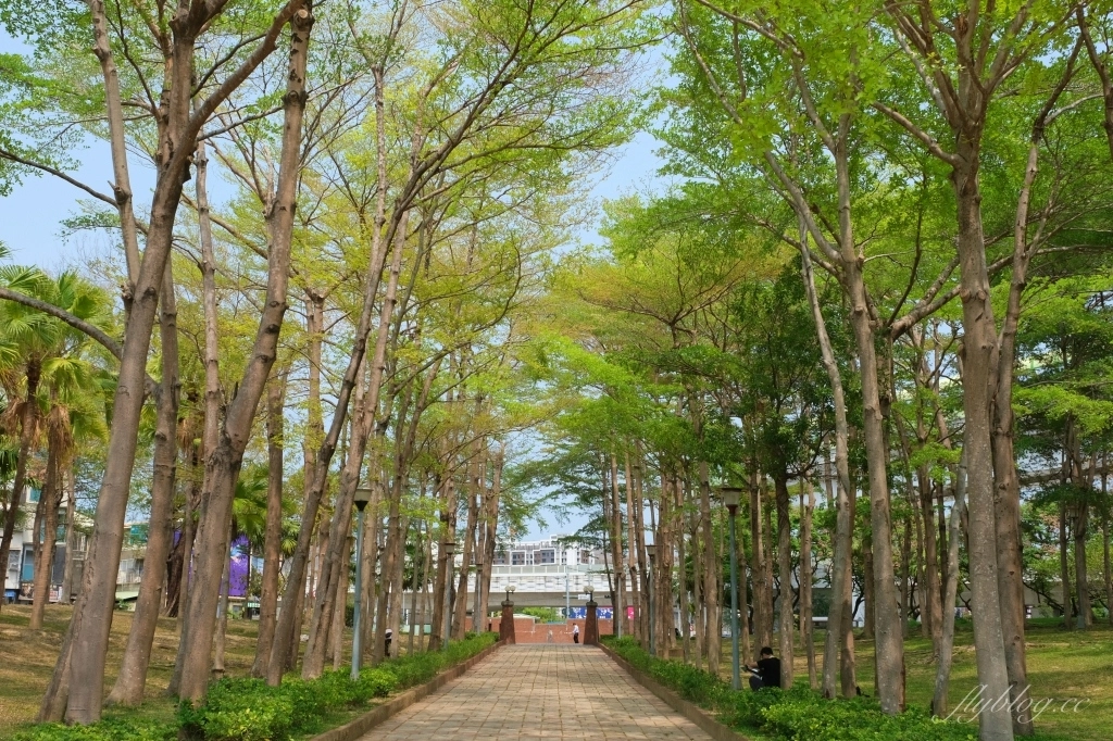 台中北屯舊社公園｜搭乘台中捷運松竹站下車即到，綠意盎然充滿綠意的生態公園 @飛天璇的口袋