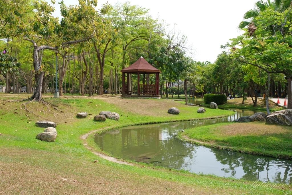 台中北屯舊社公園｜搭乘台中捷運松竹站下車即到，綠意盎然充滿綠意的生態公園 @飛天璇的口袋