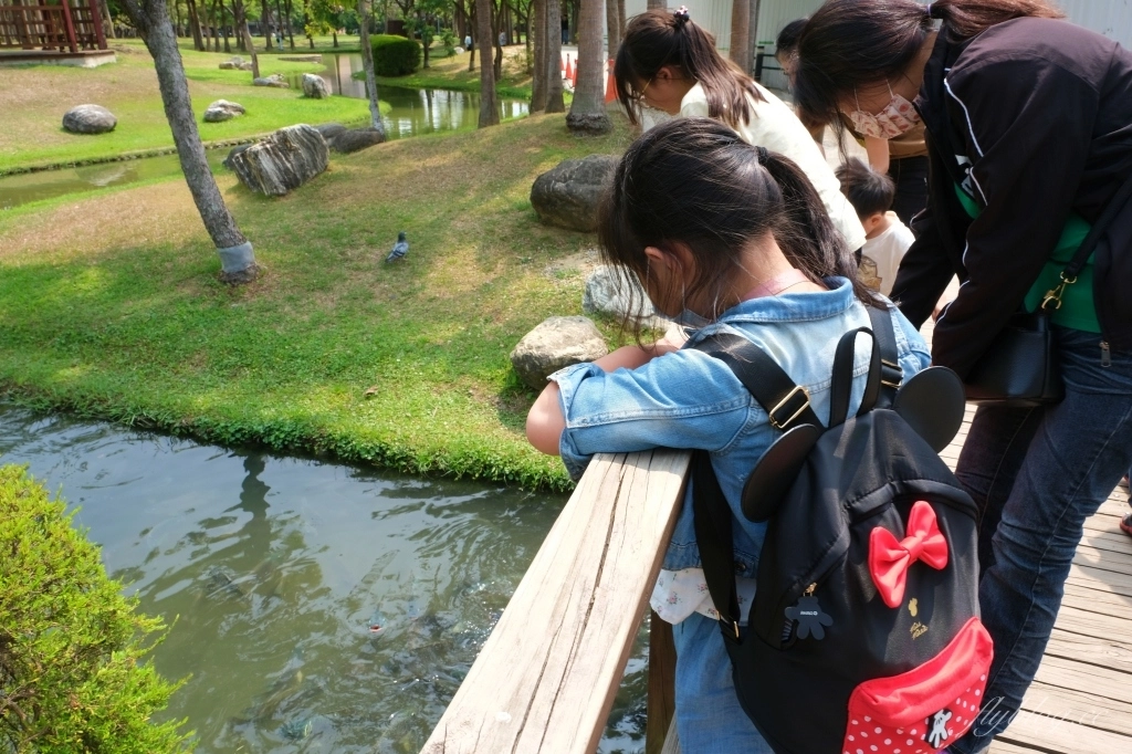 台中北屯舊社公園｜搭乘台中捷運松竹站下車即到，綠意盎然充滿綠意的生態公園 @飛天璇的口袋
