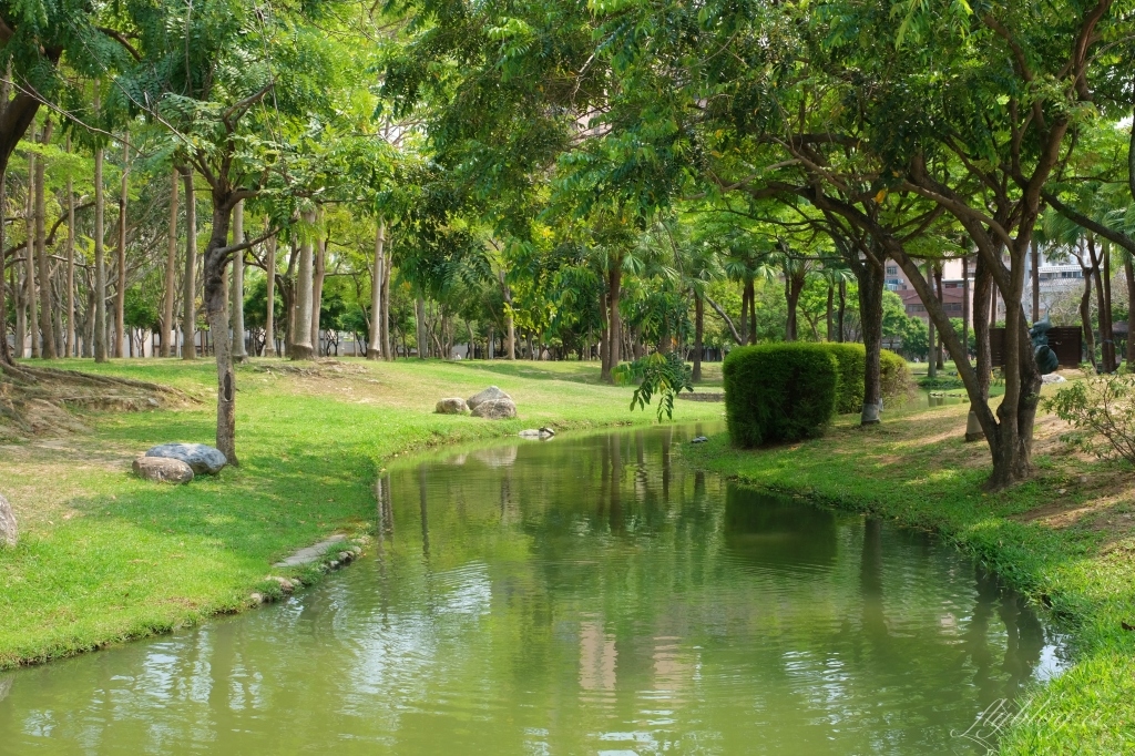 台中北屯舊社公園｜搭乘台中捷運松竹站下車即到，綠意盎然充滿綠意的生態公園 @飛天璇的口袋