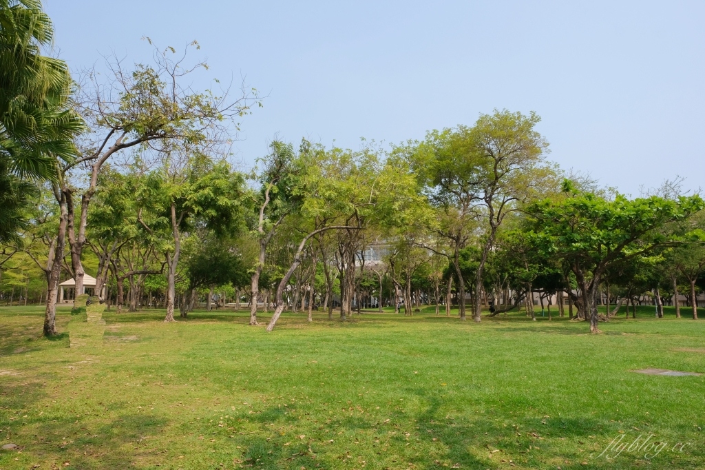 台中北屯舊社公園｜搭乘台中捷運松竹站下車即到，綠意盎然充滿綠意的生態公園 @飛天璇的口袋