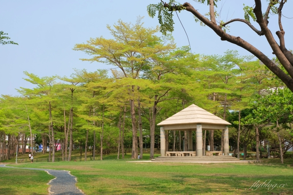 台中北屯舊社公園｜搭乘台中捷運松竹站下車即到，綠意盎然充滿綠意的生態公園 @飛天璇的口袋