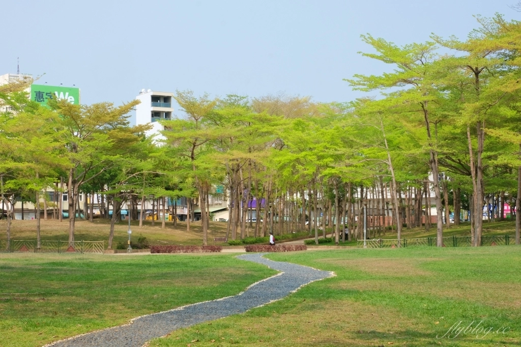 台中北屯舊社公園｜搭乘台中捷運松竹站下車即到，綠意盎然充滿綠意的生態公園 @飛天璇的口袋