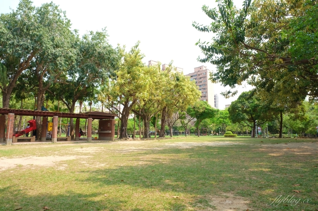 台中北屯舊社公園｜搭乘台中捷運松竹站下車即到，綠意盎然充滿綠意的生態公園 @飛天璇的口袋