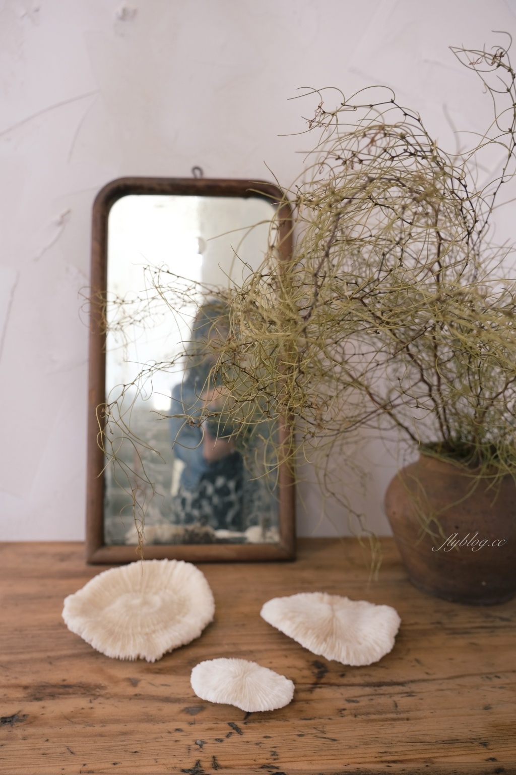 嘉義東區｜荏苒咖啡｜霜空咖啡最新力作，嘉義公園旁的靜謐老宅咖啡館 @飛天璇的口袋