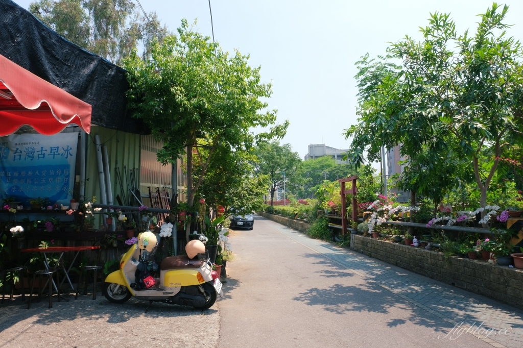 嘉義榕樹下台灣古早冰｜一碗35元古早冰6種配料，Google地圖上面找不到 @飛天璇的口袋