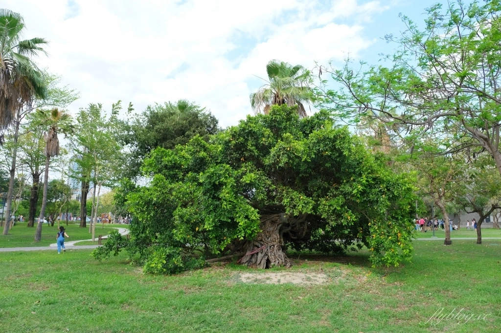 台中南屯｜黎新公園，可愛的大西瓜攀架共融式公園，台中南屯最佳大自然生態教室 @飛天璇的口袋