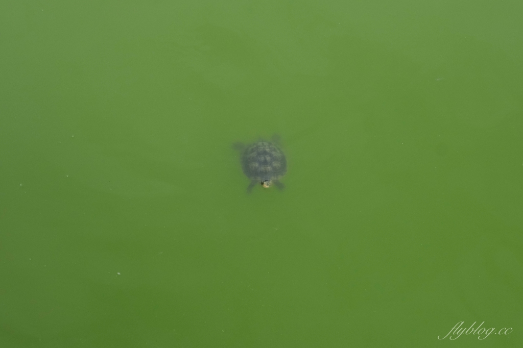 豐樂雕塑公園｜台灣第一座公立露天雕塑公園，台中捷運步行5分鐘抵達 @飛天璇的口袋