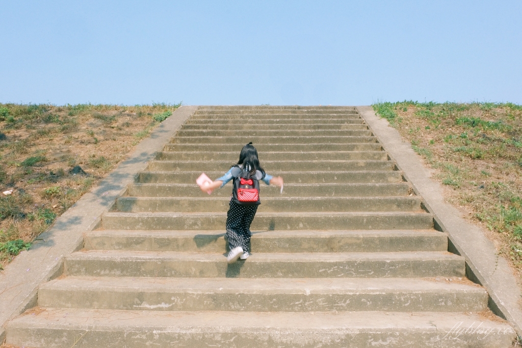 【嘉義東區】 嘉義藍花楹隧道：盧厝堤防藍花楹漸開中，紫色浪漫綿延800公尺 @飛天璇的口袋