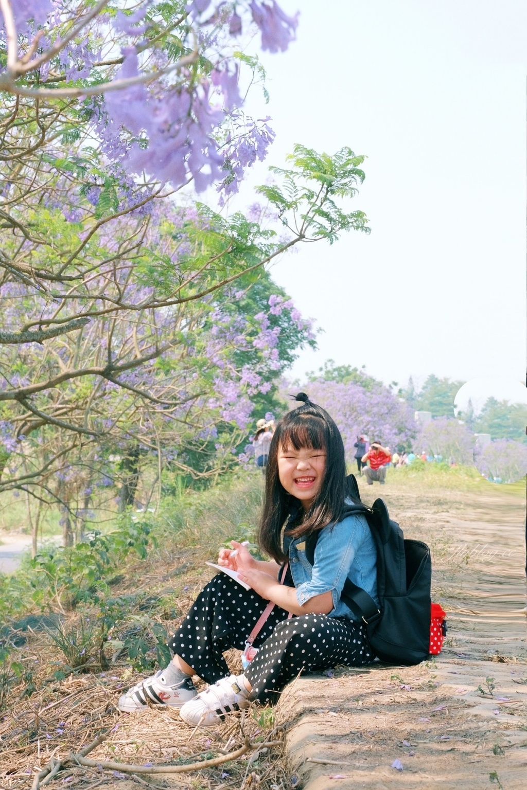 嘉義旅遊｜2024嘉義旅遊景點．嘉義40+景點推薦，嘉義一日遊行程推薦 @飛天璇的口袋