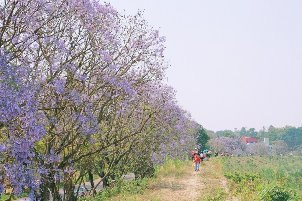 嘉義旅遊｜2024嘉義旅遊景點．嘉義40+景點推薦，嘉義一日遊行程推薦 @飛天璇的口袋