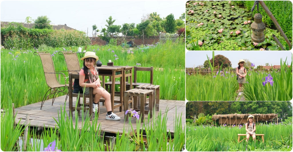 彰化田尾|田尾旅人小屋舒宿,彰化田尾鳶尾花季,浪漫唯美的鳶尾花秘境 @飛天璇的口袋 彰化田尾|田尾旅人小屋舒宿,彰化田尾鳶尾花季,浪漫唯美的鳶尾花秘境 @飛天璇的口袋