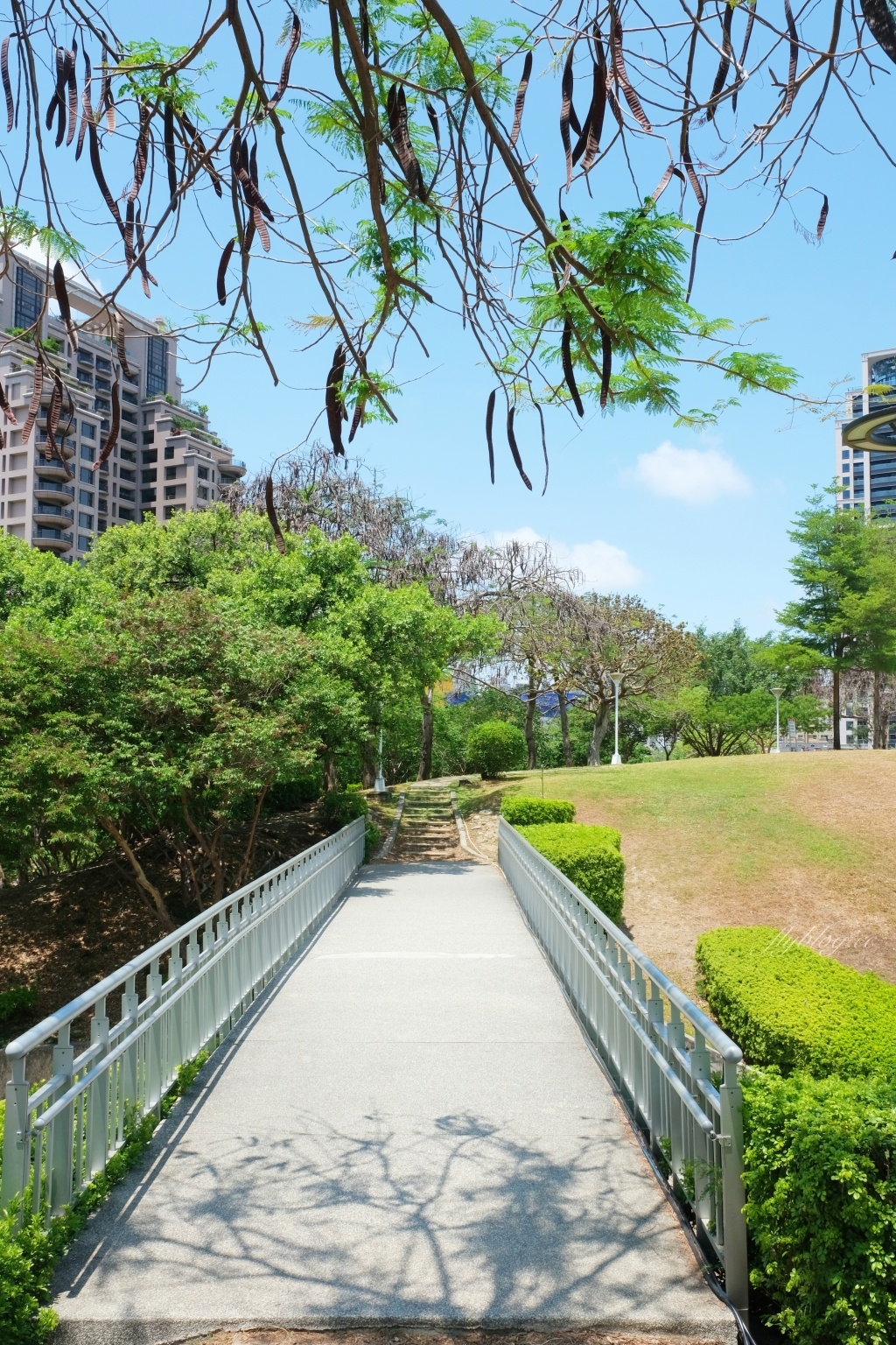 文心森林公園｜戶外圓滿劇場、12感官遊戲設施、溜冰場、寵物專區 @飛天璇的口袋