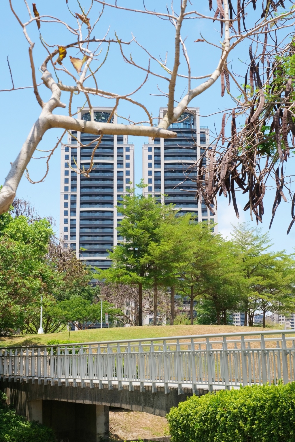 文心森林公園|戶外圓滿劇場、12感官遊戲設施、溜冰場、寵物專區 @飛天璇的口袋 文心森林公園|戶外圓滿劇場、12感官遊戲設施、溜冰場、寵物專區 @飛天璇的口袋