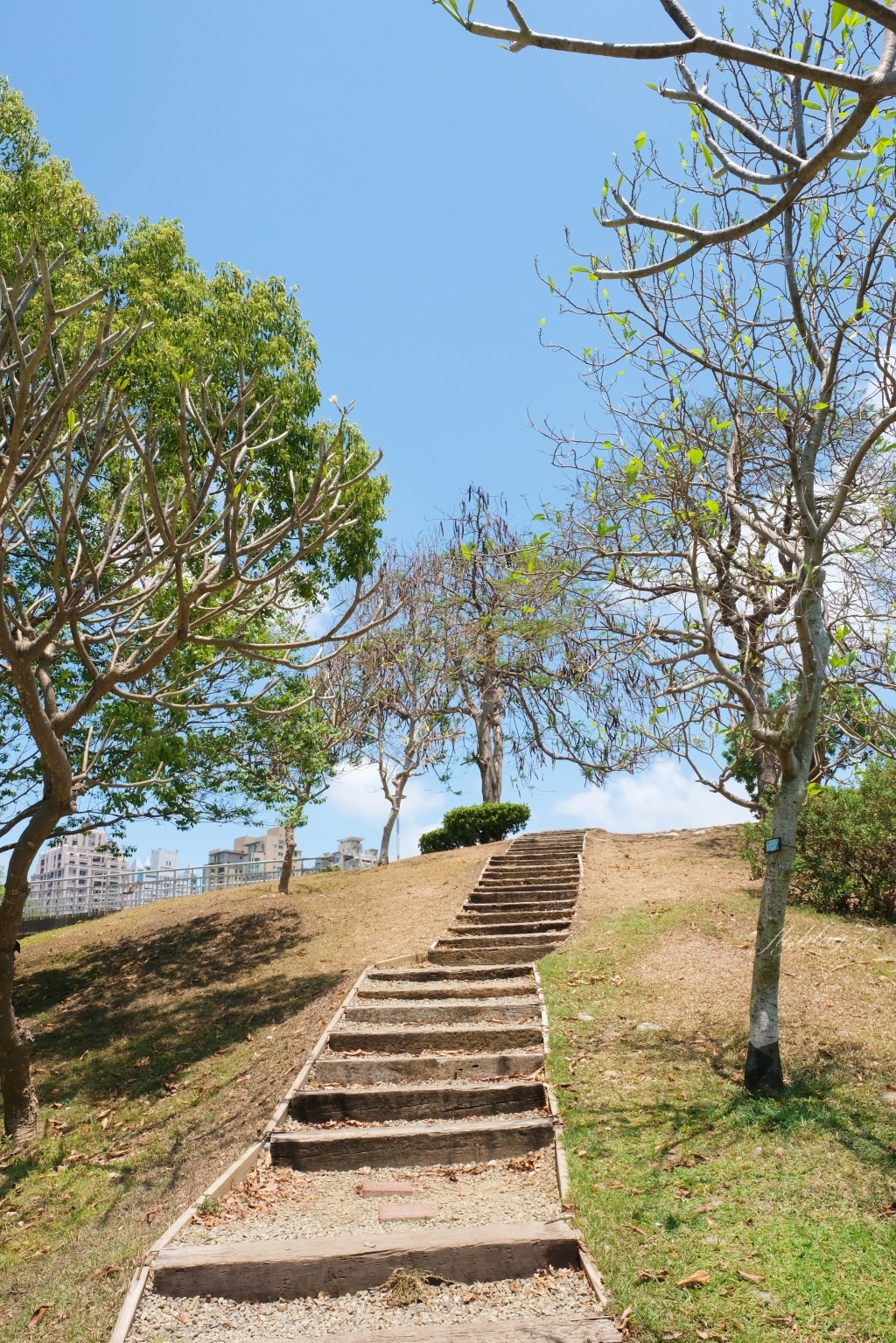 文心森林公園|戶外圓滿劇場、12感官遊戲設施、溜冰場、寵物專區 @飛天璇的口袋 文心森林公園|戶外圓滿劇場、12感官遊戲設施、溜冰場、寵物專區 @飛天璇的口袋