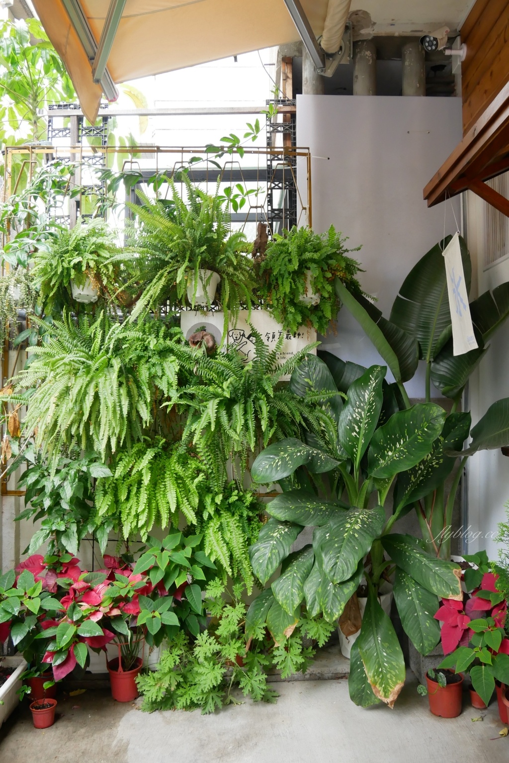 台中西區｜一人一伴 ともだち．老宅改建文青早午餐，台中教育大學商圈美食 @飛天璇的口袋