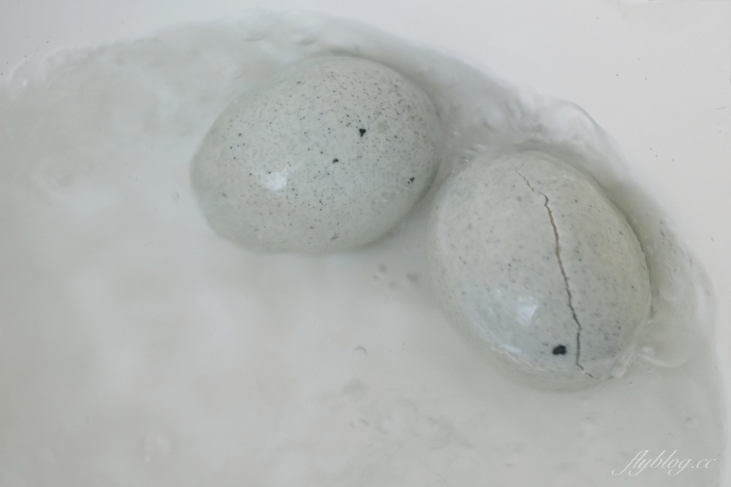 蒼蠅頭做法｜香辣下飯的「蒼蠅頭食譜」，加了皮蛋更好吃 @飛天璇的口袋