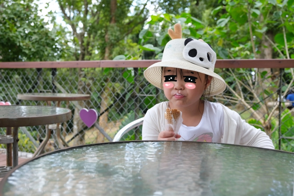 台東卑南｜初鹿牧場，幅員遼闊的親子旅遊景點，滾草區、餵食區、動物區、森林浴區 @飛天璇的口袋
