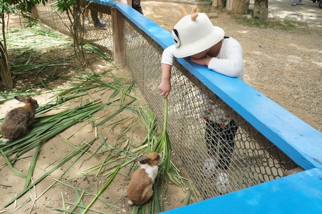 台東旅遊｜台東3天2夜行程，台東跟著我這樣玩，飯店、景點、美食，行程懶人包 @飛天璇的口袋