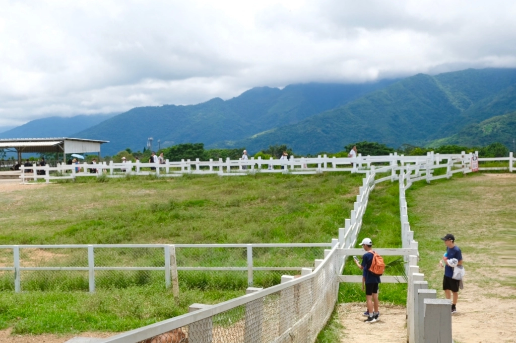 台東旅遊｜台東3天2夜行程，台東跟著我這樣玩，飯店、景點、美食，行程懶人包 @飛天璇的口袋