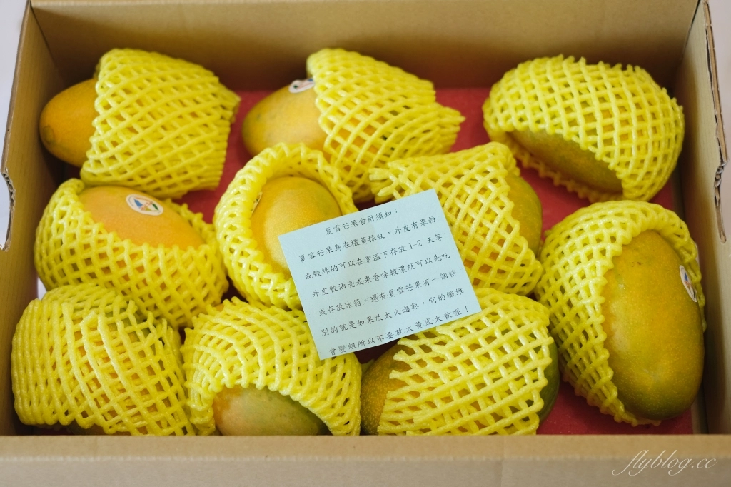 食譜分享｜芒果冰沙作法做法，5分鐘做一杯新鮮芒果冰沙，家裡就是現成的冰果室 @飛天璇的口袋