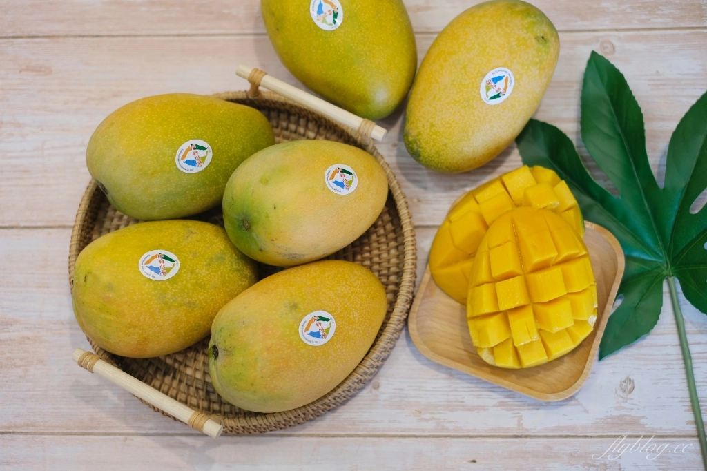 食譜分享｜芒果冰沙作法做法，5分鐘做一杯新鮮芒果冰沙，家裡就是現成的冰果室 @飛天璇的口袋