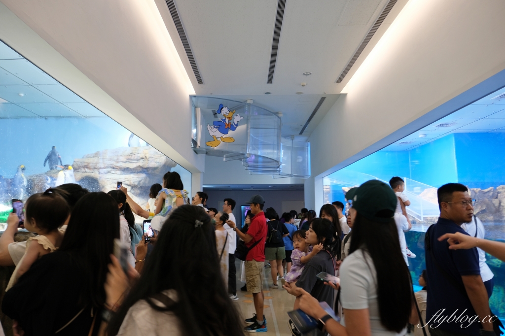 桃園中壢｜Xpark．來自日本八景島的水族館，票價、交通、環境、必拍一次看 @飛天璇的口袋