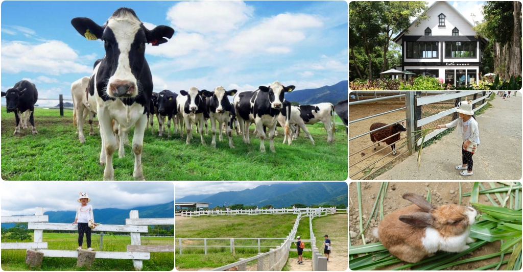 台東卑南｜初鹿牧場，幅員遼闊的親子旅遊景點，滾草區、餵食區、動物區、森林浴區 @飛天璇的口袋