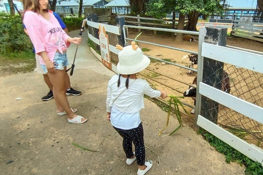 台東卑南｜初鹿牧場，幅員遼闊的親子旅遊景點，滾草區、餵食區、動物區、森林浴區 @飛天璇的口袋