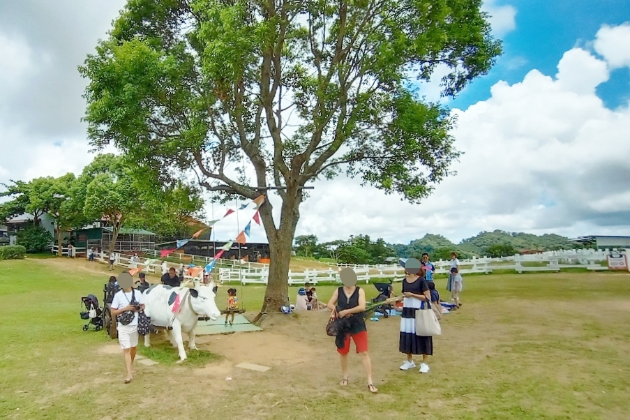 台東卑南｜初鹿牧場，幅員遼闊的親子旅遊景點，滾草區、餵食區、動物區、森林浴區 @飛天璇的口袋