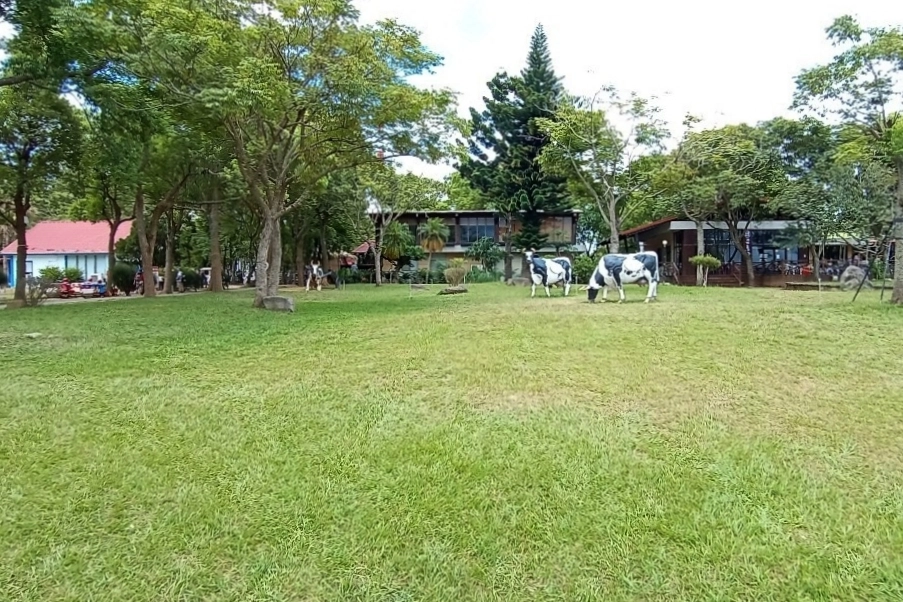 台東卑南｜初鹿牧場，幅員遼闊的親子旅遊景點，滾草區、餵食區、動物區、森林浴區 @飛天璇的口袋