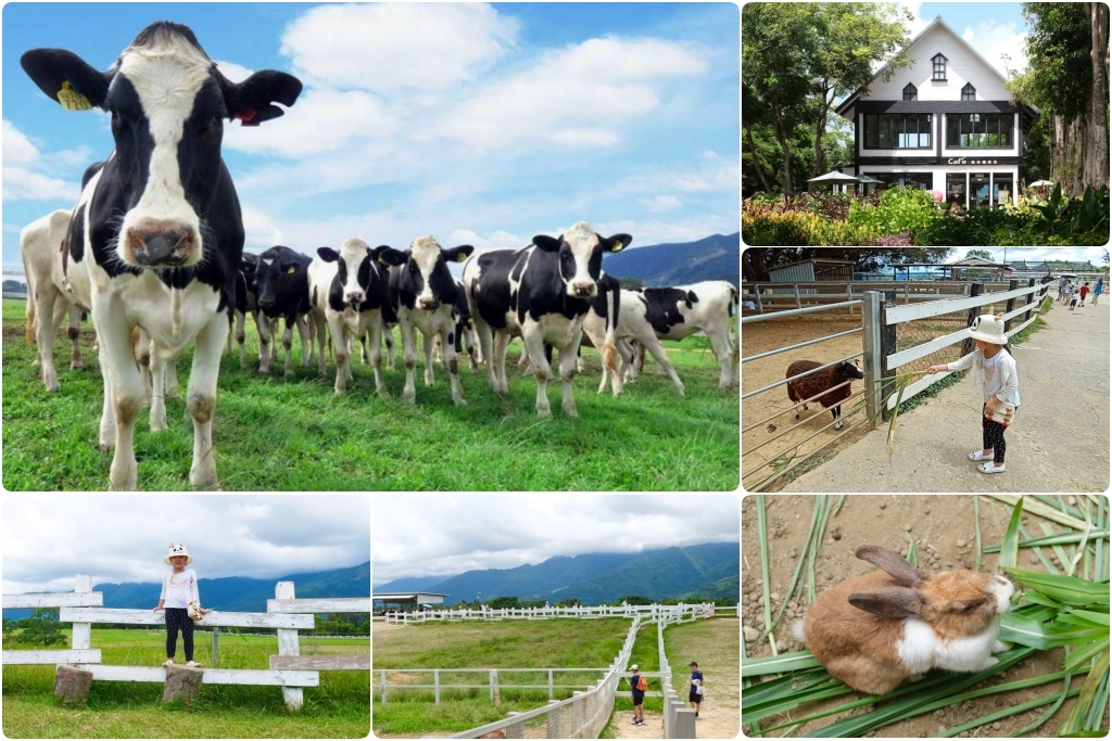 台東卑南｜初鹿牧場，幅員遼闊的親子旅遊景點，滾草區、餵食區、動物區、森林浴區 @飛天璇的口袋
