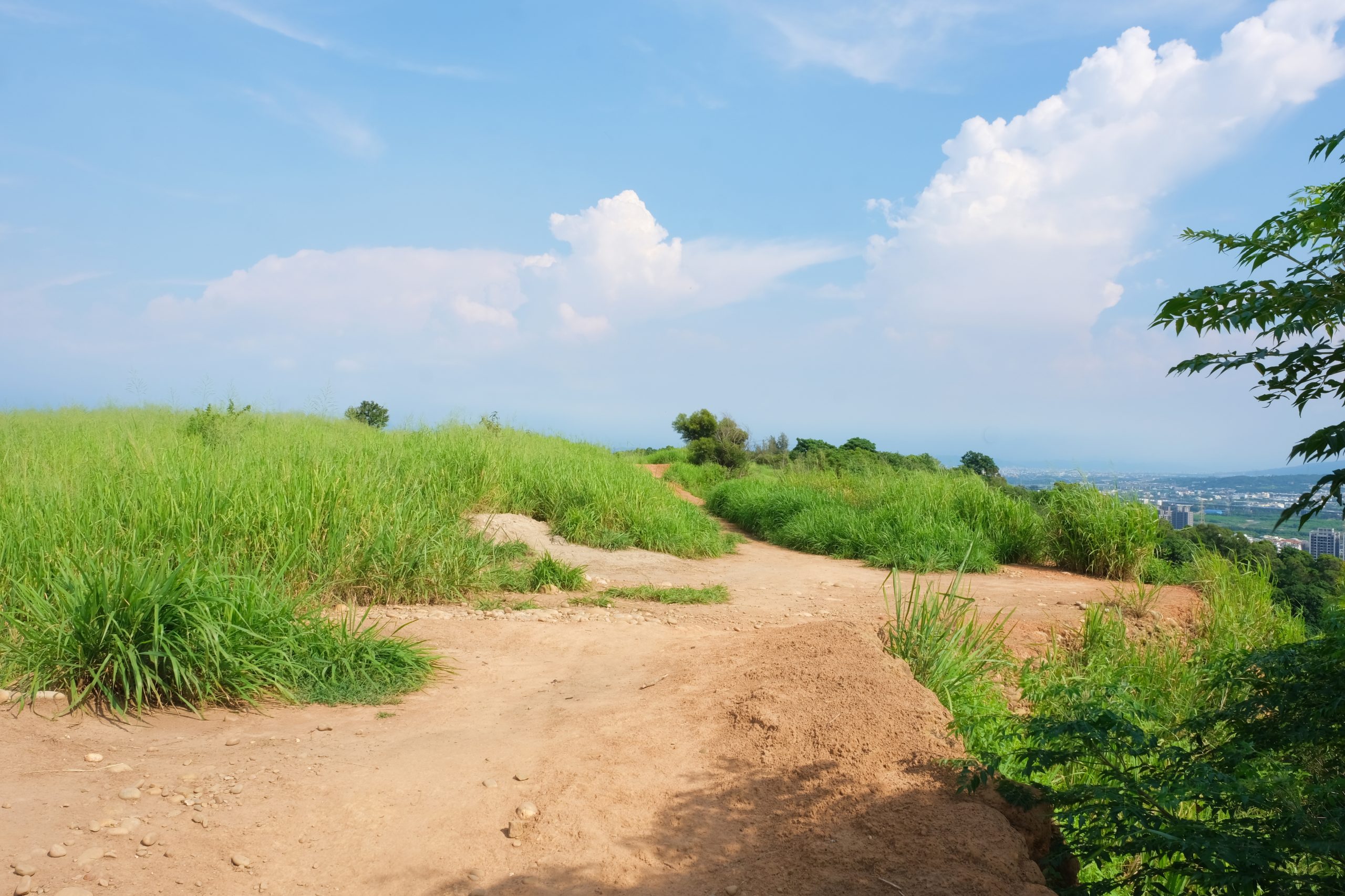 【台中烏日】知高圳步道，延途林蔭、石板路和木棧道，輕鬆360度遠眺台中美景 @飛天璇的口袋