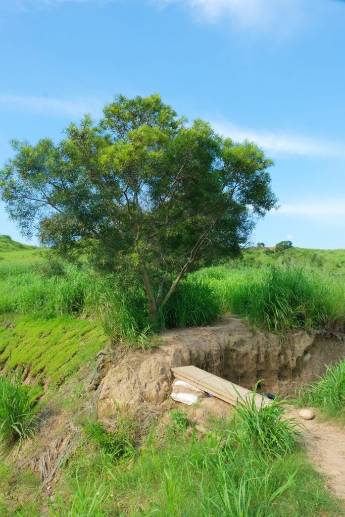 【台中烏日】知高圳步道，延途林蔭、石板路和木棧道，輕鬆360度遠眺台中美景 @飛天璇的口袋