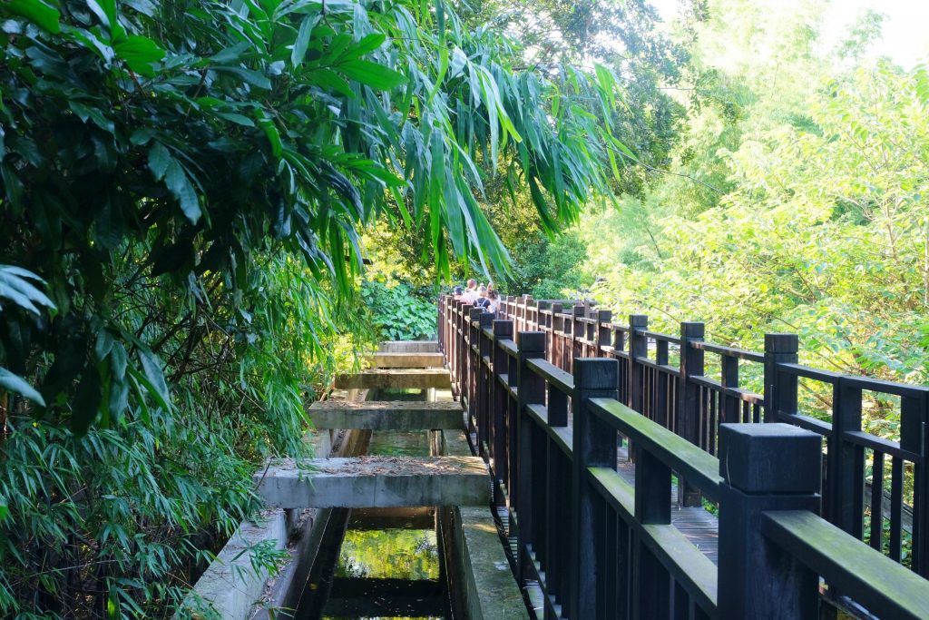 【台中烏日】知高圳步道，延途林蔭、石板路和木棧道，輕鬆360度遠眺台中美景 @飛天璇的口袋