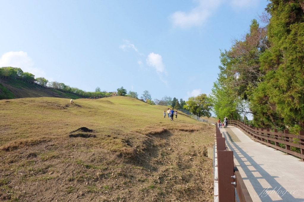 南投仁愛|清境農場.在台灣看到紐西蘭綿羊秀,2025櫻花盛開中 @飛天璇的口袋 南投仁愛|清境農場.在台灣看到紐西蘭綿羊秀,2025櫻花盛開中 @飛天璇的口袋