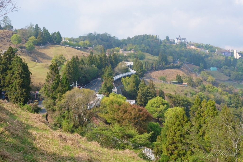 南投仁愛｜清境農場．在台灣看到紐西蘭綿羊秀，2025櫻花盛開中 @飛天璇的口袋