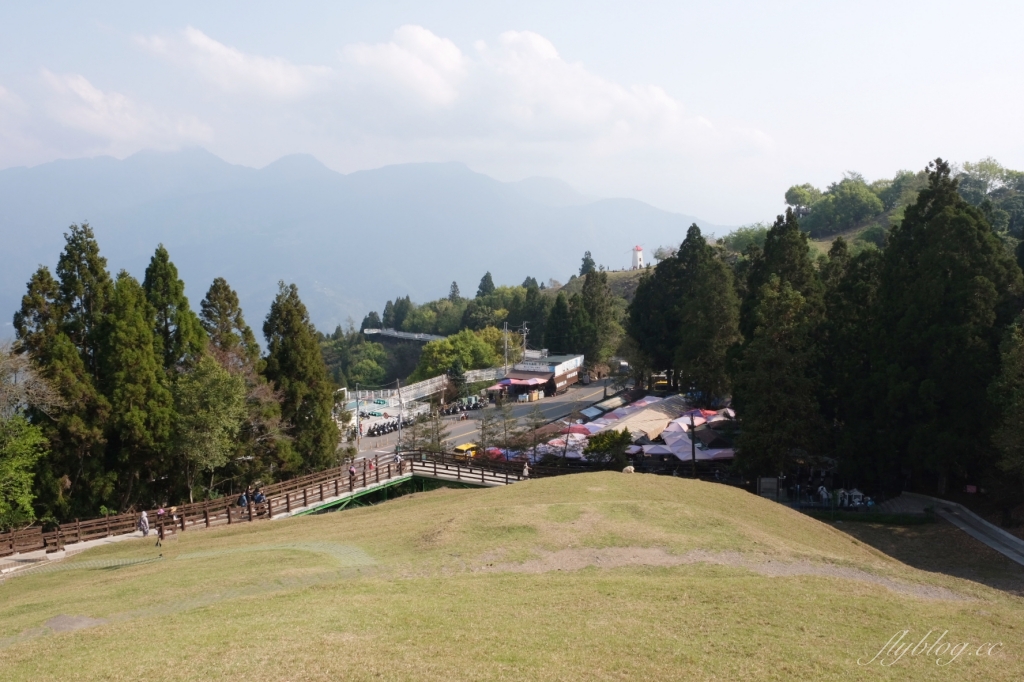 南投仁愛|清境農場.在台灣看到紐西蘭綿羊秀,2025櫻花盛開中 @飛天璇的口袋 南投仁愛|清境農場.在台灣看到紐西蘭綿羊秀,2025櫻花盛開中 @飛天璇的口袋