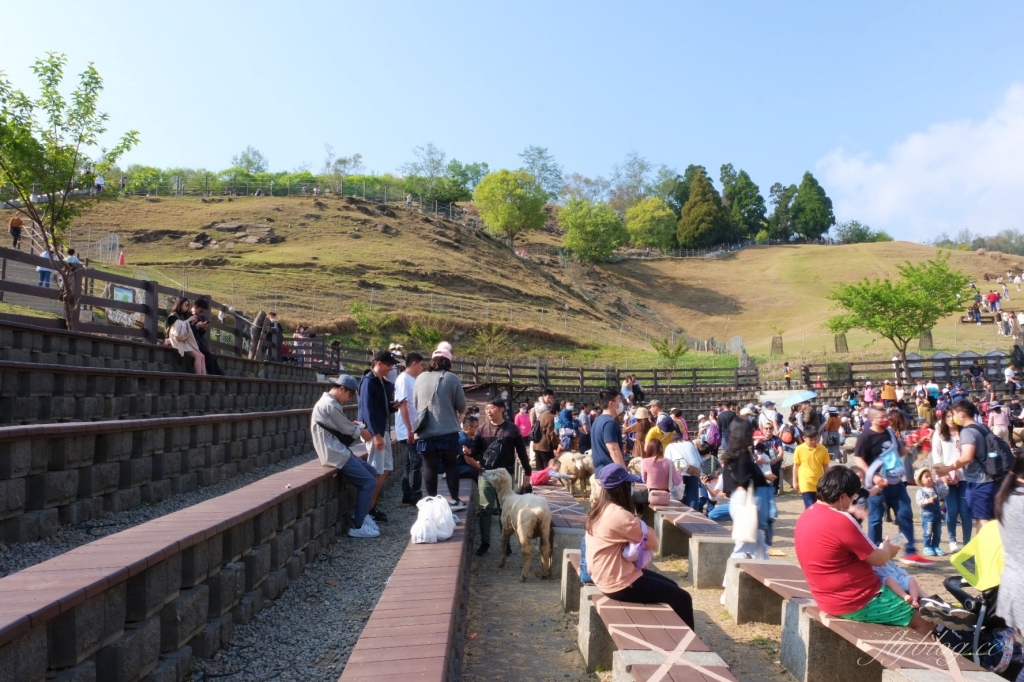 南投仁愛|清境農場.在台灣看到紐西蘭綿羊秀,2025櫻花盛開中 @飛天璇的口袋 南投仁愛|清境農場.在台灣看到紐西蘭綿羊秀,2025櫻花盛開中 @飛天璇的口袋